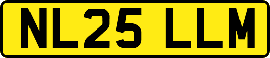 NL25LLM