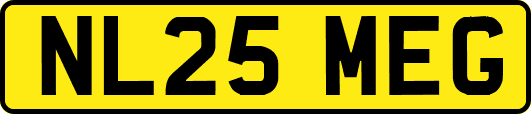 NL25MEG