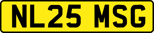 NL25MSG