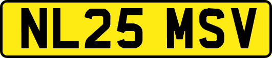 NL25MSV