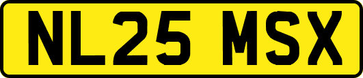 NL25MSX