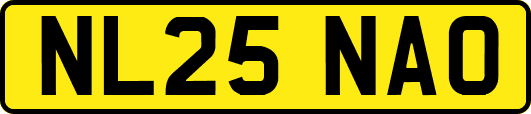 NL25NAO