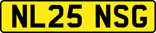 NL25NSG