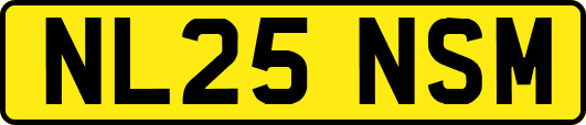NL25NSM