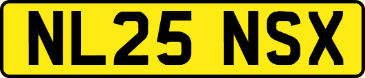 NL25NSX