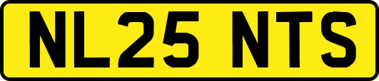 NL25NTS