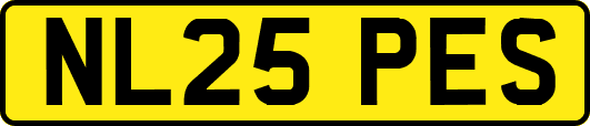 NL25PES