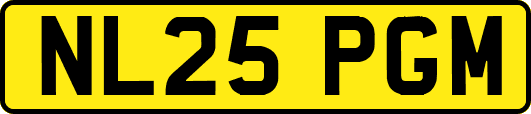 NL25PGM