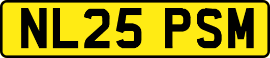 NL25PSM