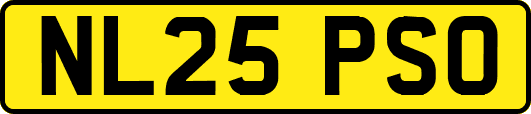 NL25PSO