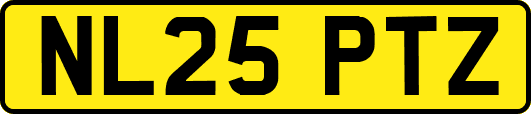 NL25PTZ