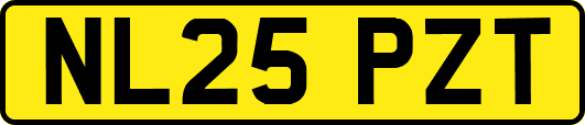 NL25PZT