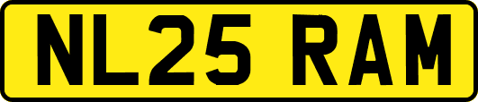 NL25RAM