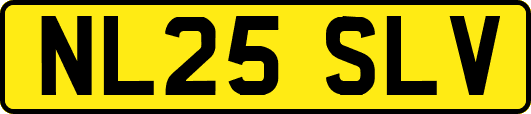 NL25SLV