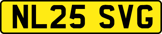 NL25SVG