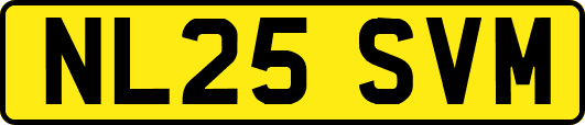 NL25SVM
