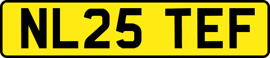 NL25TEF