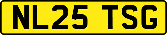 NL25TSG