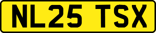NL25TSX