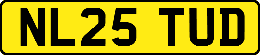NL25TUD