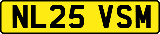 NL25VSM