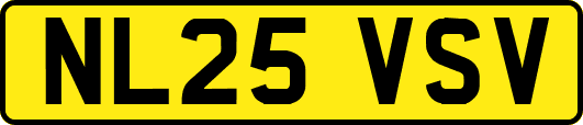NL25VSV