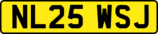 NL25WSJ