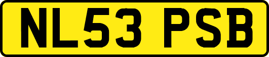 NL53PSB