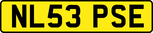 NL53PSE