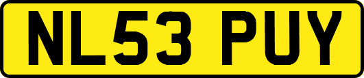 NL53PUY