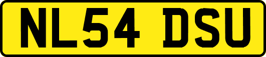 NL54DSU