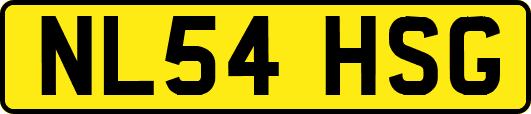 NL54HSG