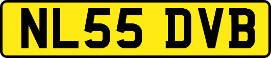 NL55DVB