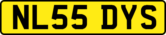 NL55DYS