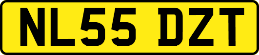 NL55DZT