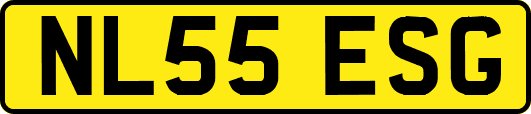 NL55ESG