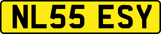 NL55ESY