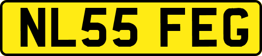 NL55FEG