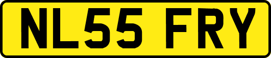 NL55FRY