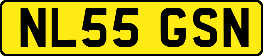 NL55GSN
