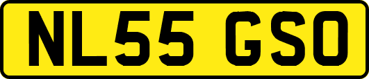 NL55GSO