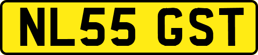 NL55GST