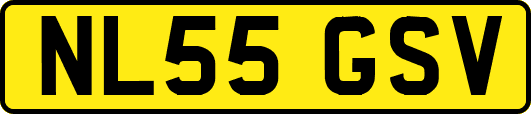 NL55GSV