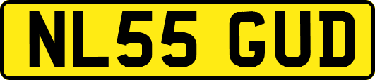 NL55GUD