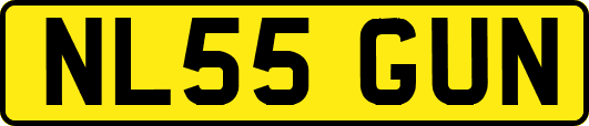NL55GUN