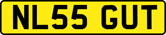 NL55GUT