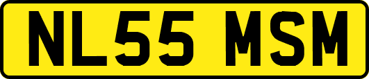 NL55MSM