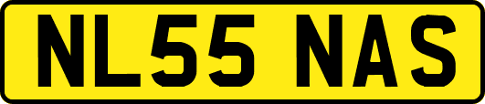 NL55NAS