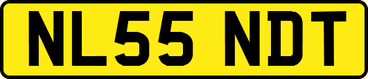 NL55NDT