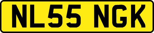 NL55NGK